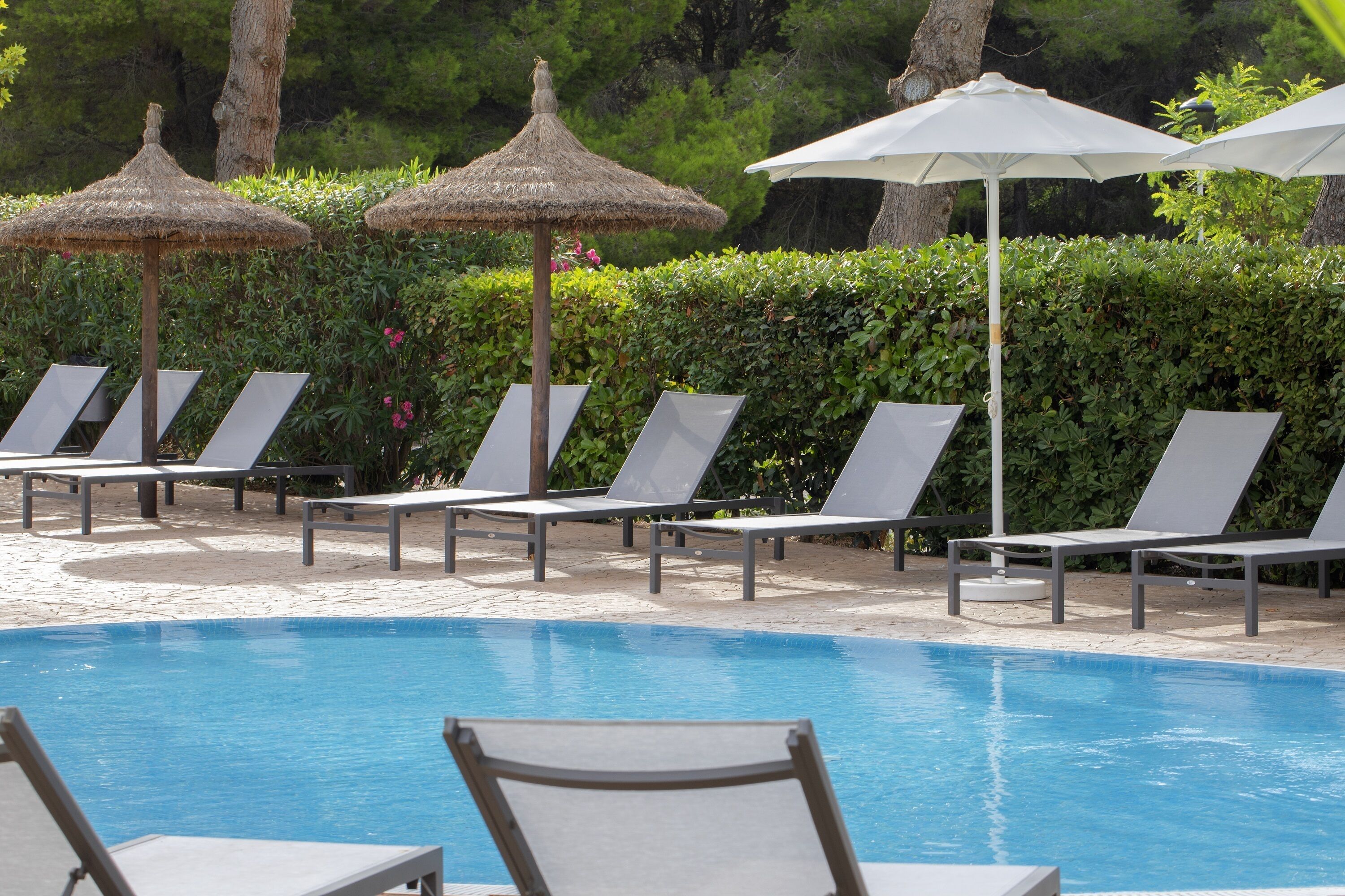 Un área junto a la piscina con sillones de descanso y sombrillas.