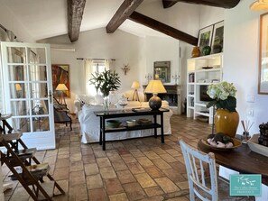 TV, fireplace, books, music library