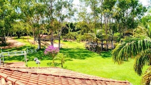 Jardin