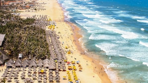 A beach with rows of thatched umbrellas and palm trees, a sandy shore, and the ocean. - Landscape Beira Mar, Lindo, Luxo, Vista mar (Fortaleza)