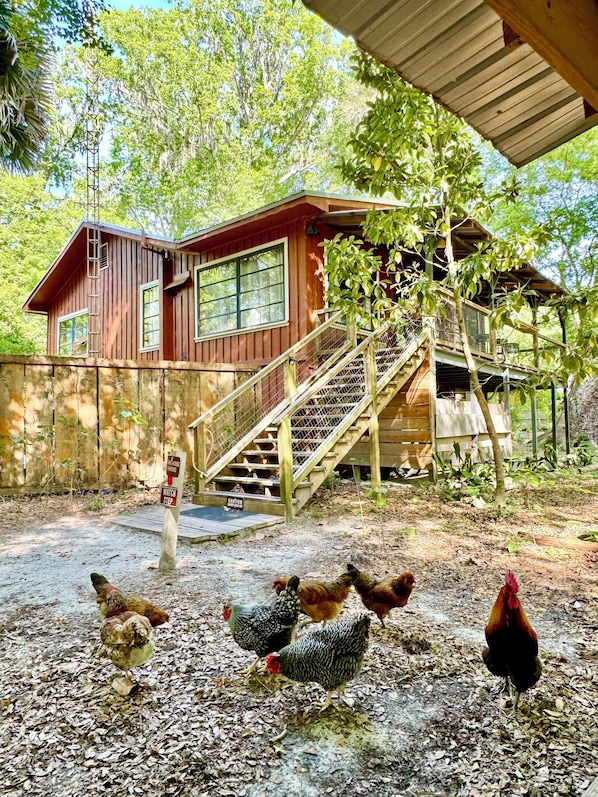 A rustic wooden house with a staircase leading to a balcony, surrounded by trees and a gravel ground.