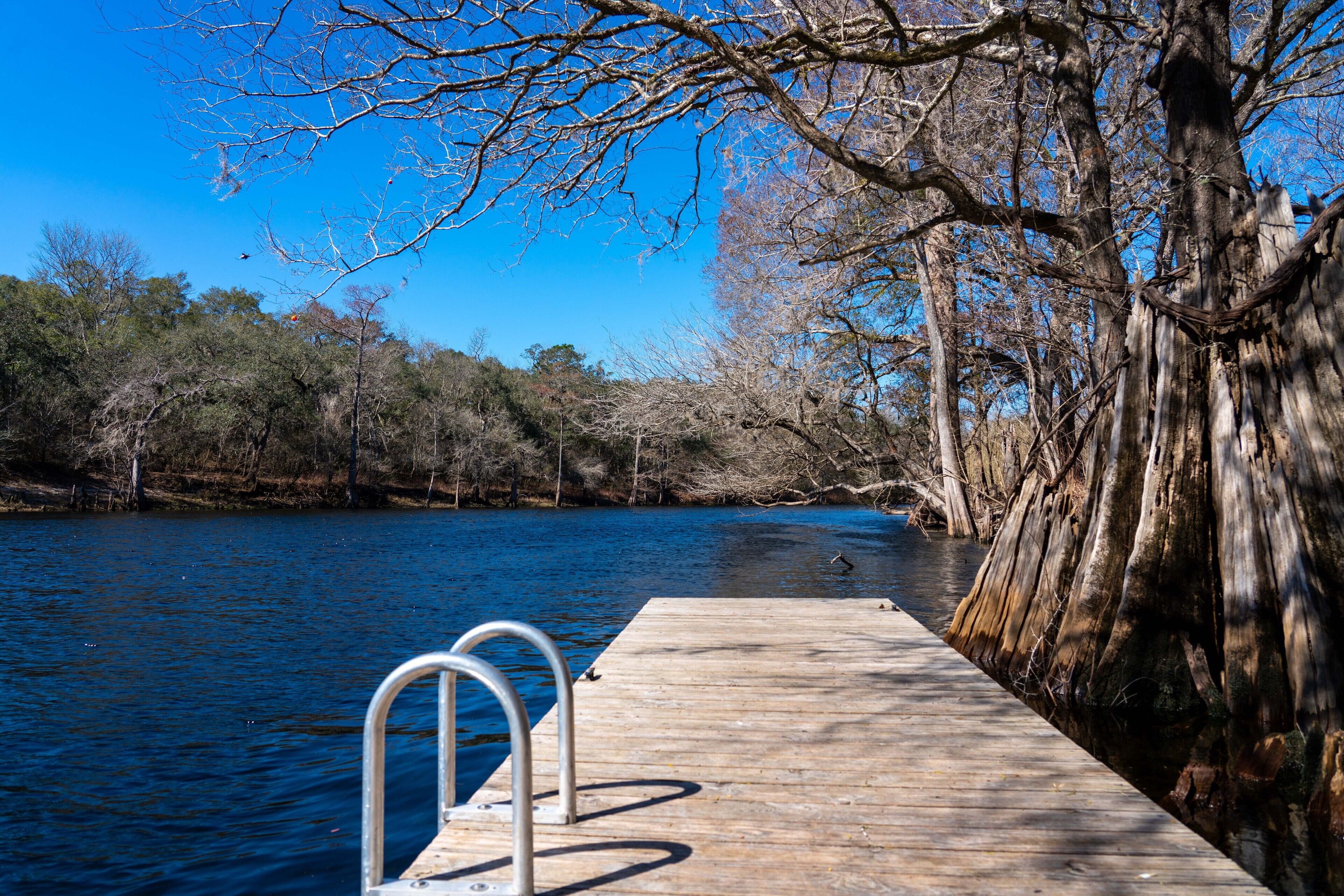 A wooden dock extending into a river, surrounded by trees and clear blue sky.