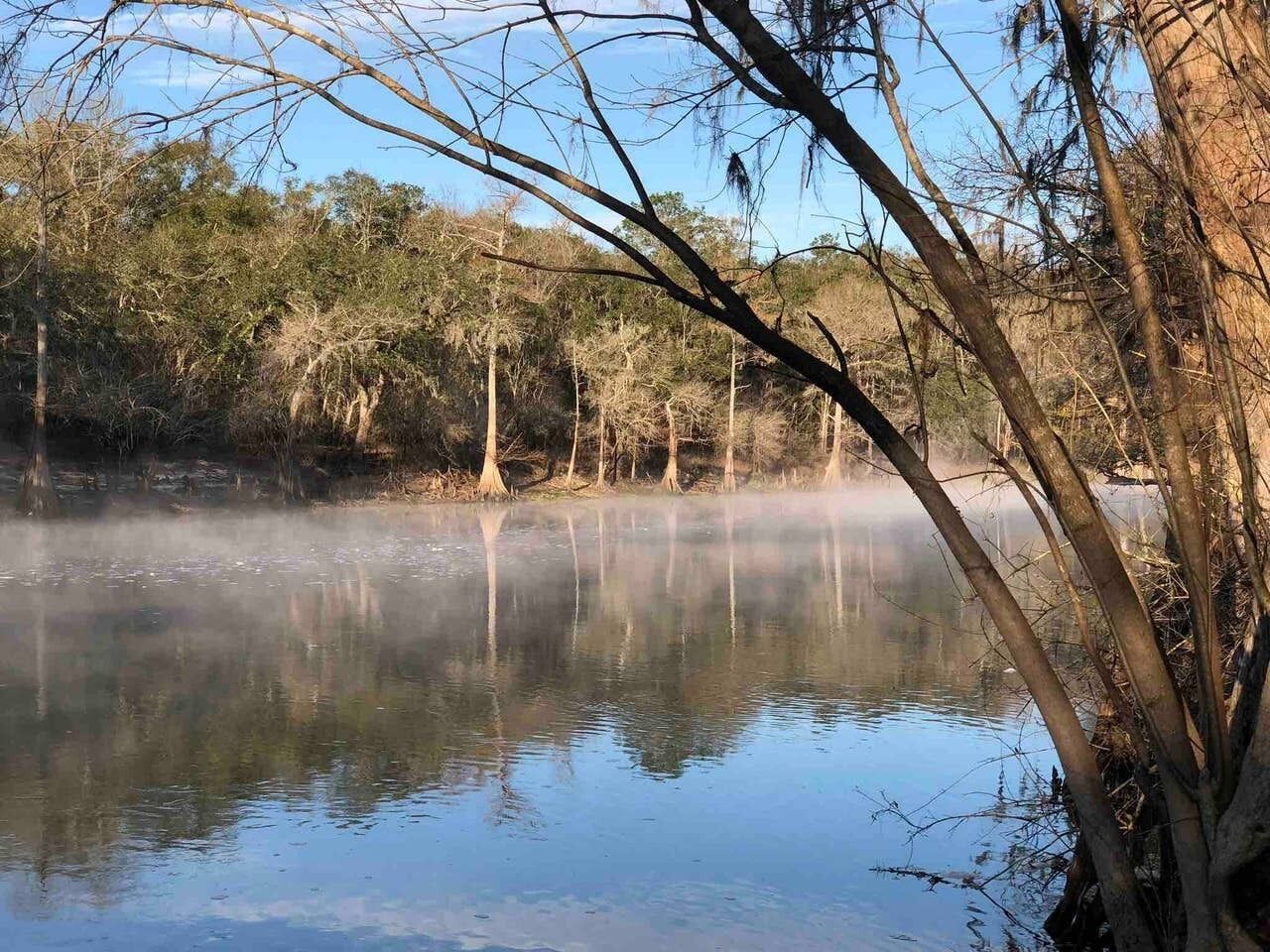 A calm body of water with trees reflected in the surface, surrounded by dense foliage.
