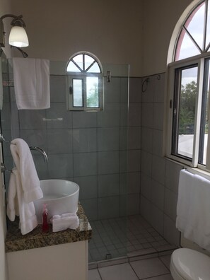 Hair dryer, towels