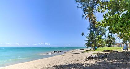 Loiza Condo w/ Rooftop Patio - Walk to Beach!