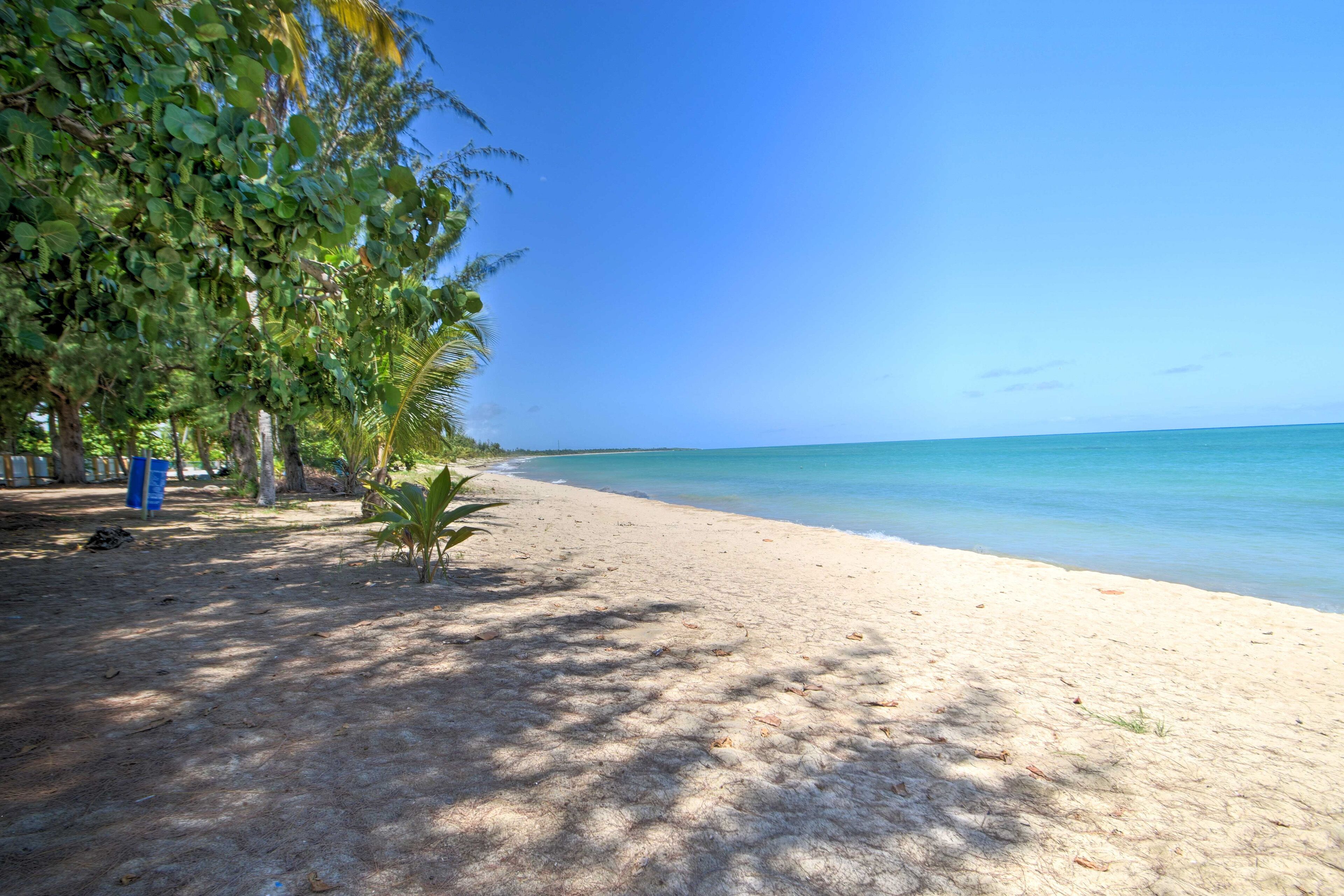On the beach, beach umbrellas, snorkelling