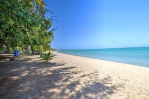 A beach with clear blue water, sandy shore, and some greenery.