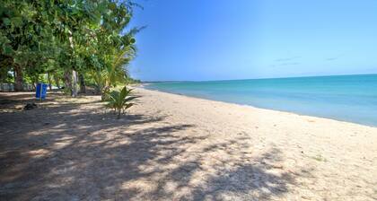 Loiza Condo w/ Rooftop Patio - Walk to Beach!