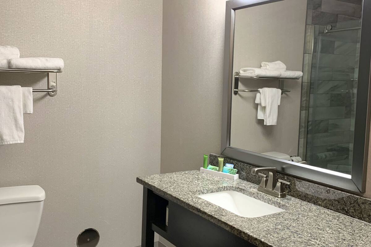 shower, free toiletries, hair dryer, towels