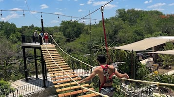 Servicio de la propiedad