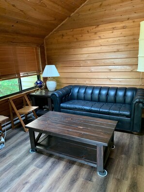 Smart TV, chimenea, reproductor de DVD y libros 