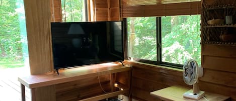 TV connectée, cheminée, lecteur de DVD, livres