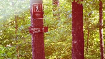 Terrain de l’hébergement