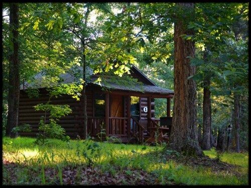 Northern Broken Bow Lake Cabin