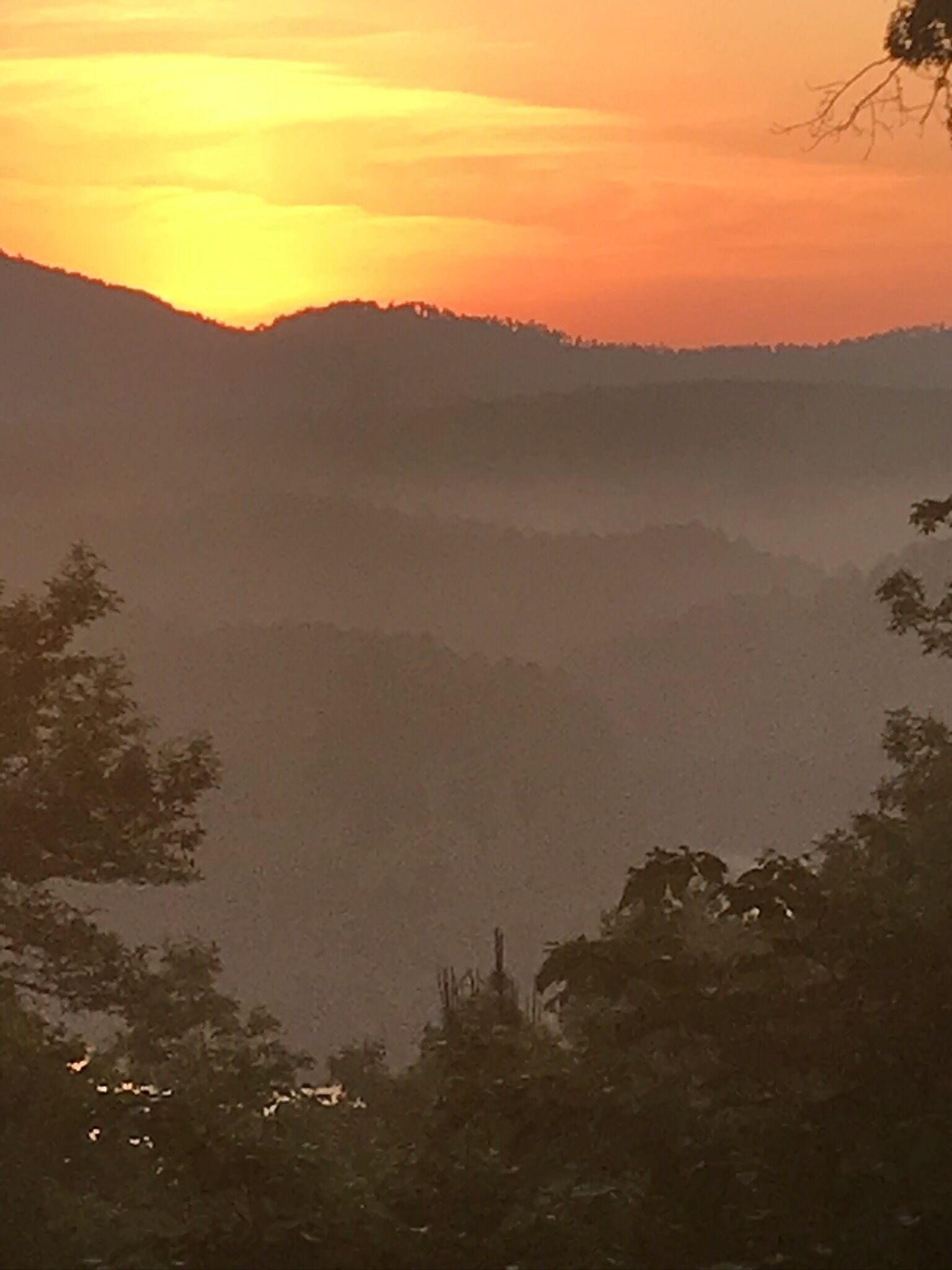 Paesaggio con un tramonto su dolci colline e una fitta foresta.
