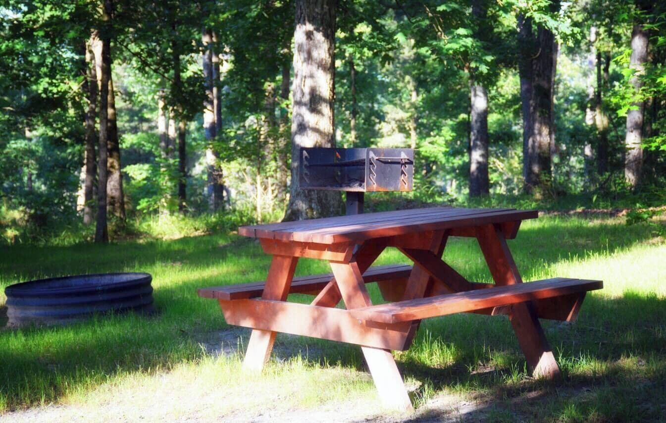 Un tavolo da picnic in una zona boschiva, con un cestino dei rifiuti nelle vicinanze.