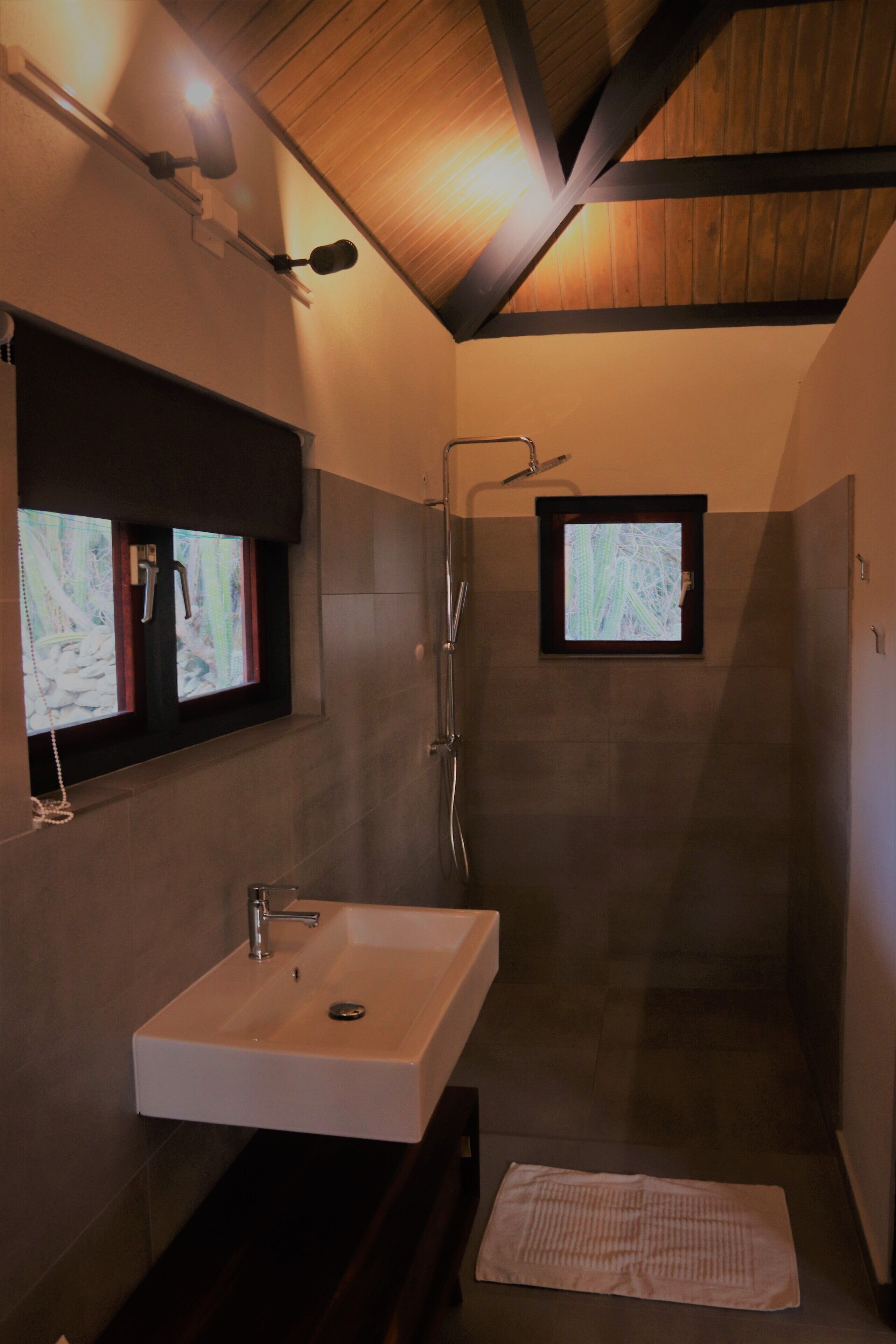 A modern bathroom with a rectangular sink, a handheld showerhead, and a window with a view of trees.