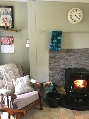 Smart TV, fireplace, books