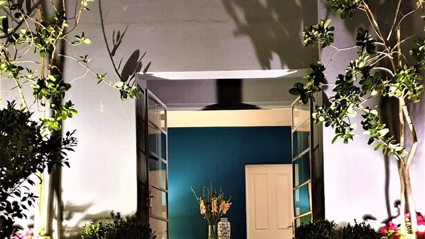 A staircase leading to a door with a blue wall and a white door. There are potted plants on either side of the staircase. - Hadeda Hall (Johannesburg)