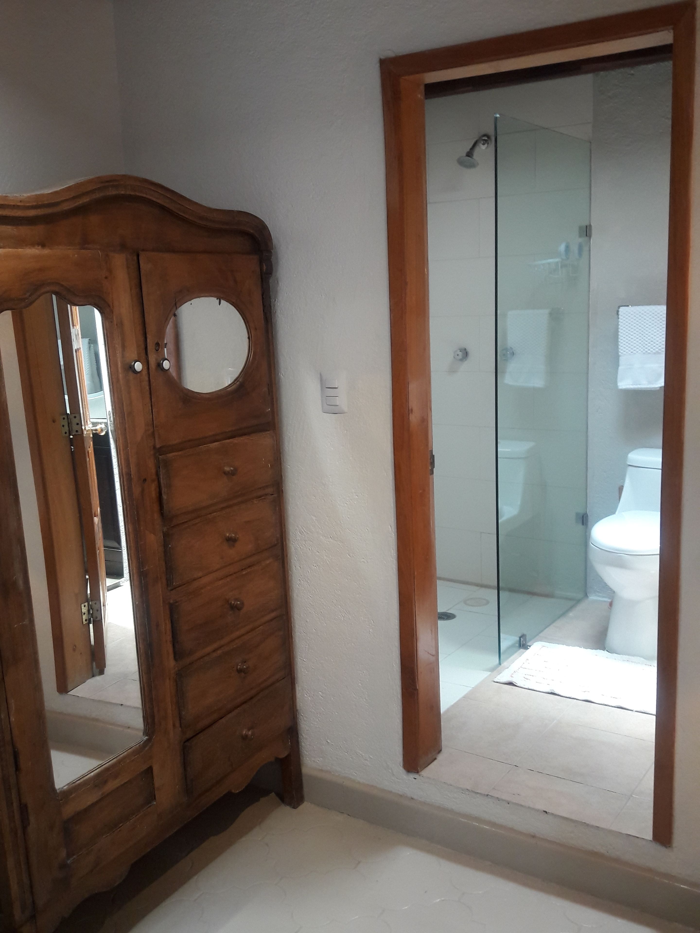 A wooden wardrobe with a mirror, a glass shower door, and a white toilet.