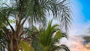 A tropical landscape with palm trees, a small building with a red roof, and string lights. - Hotel Nature Lodge Finca los Caballos (Cóbano)