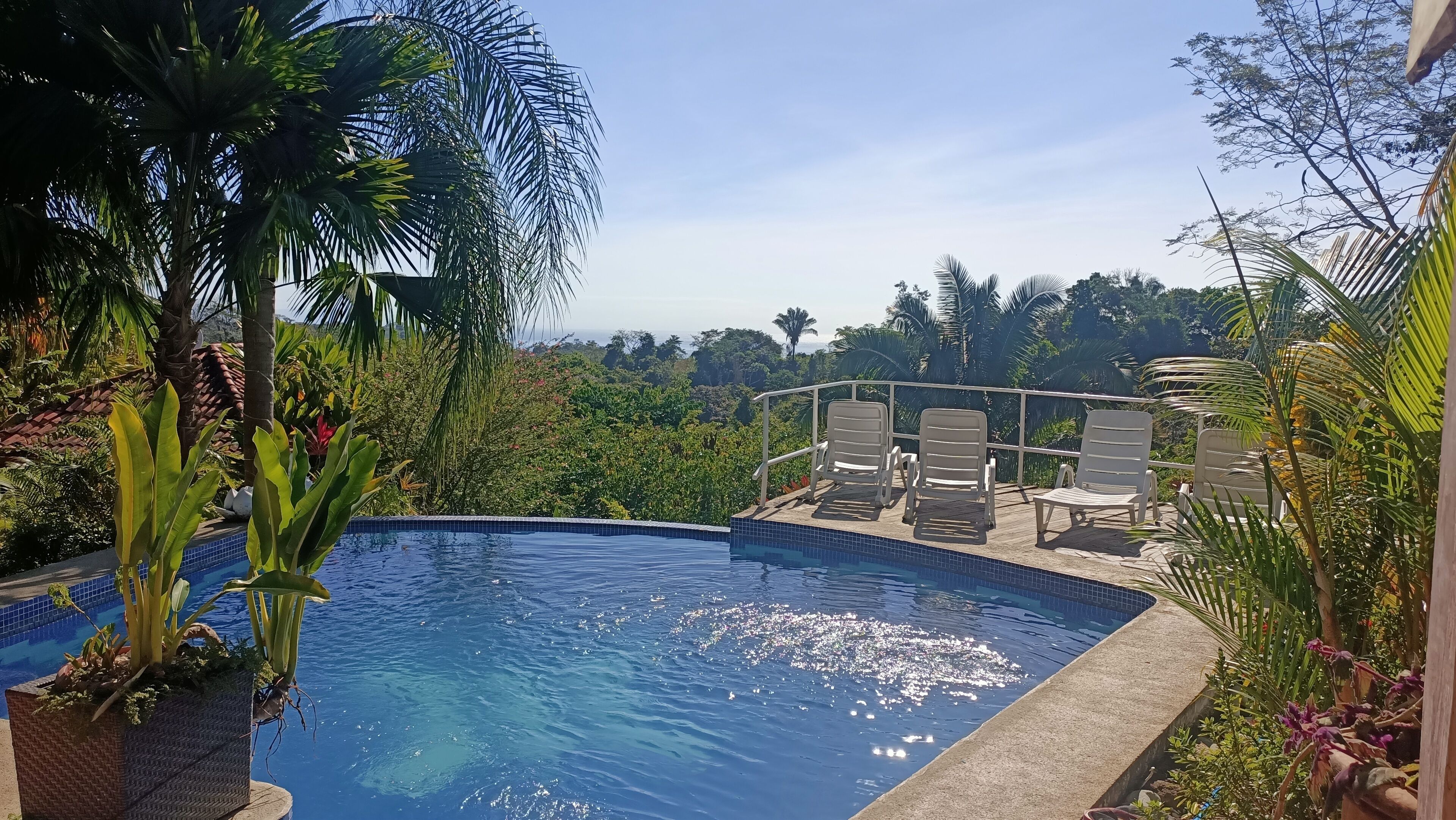 Kolam renang outdoor, dengan kursi berjemur