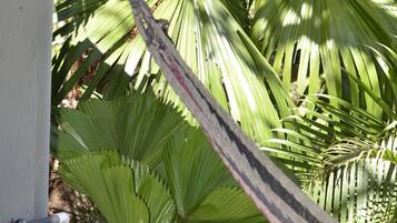 Un chemin de pierres mène à un bâtiment blanc, et un hamac est suspendu entre deux arbres.