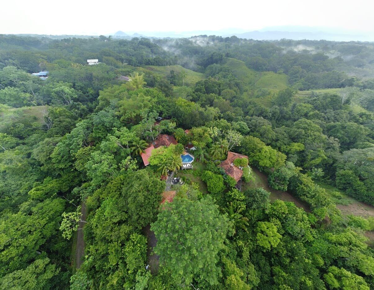 Vista aérea de un paisaje exuberante y verde con un pequeño grupo de edificios rodeados de un bosque denso.