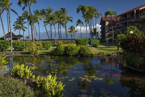 AEI at Papakea Resort Maui