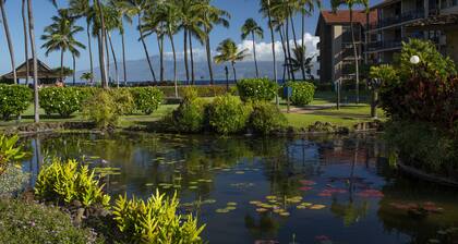 AEI at Papakea Resort Maui
