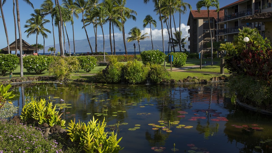AEI at Papakea Resort Maui