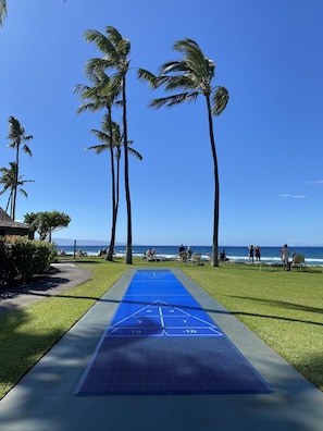 Uma quadra de bocha azul com palmeiras e vista para o oceano.