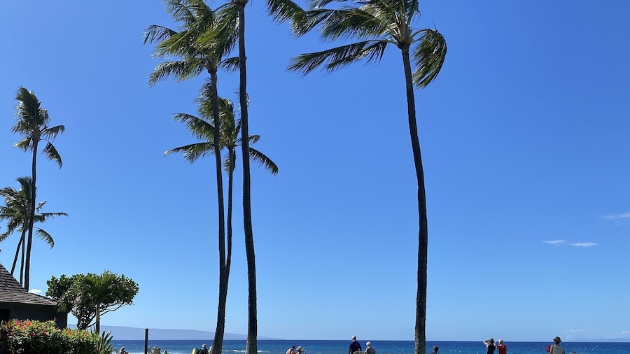 AEI at Papakea Resort Maui