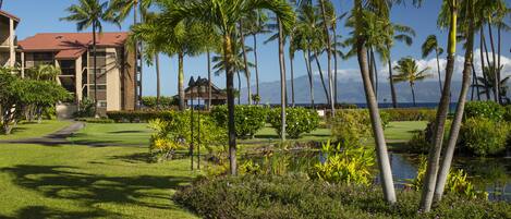 A lush garden with palm trees, a pond, and a building with a red roof.