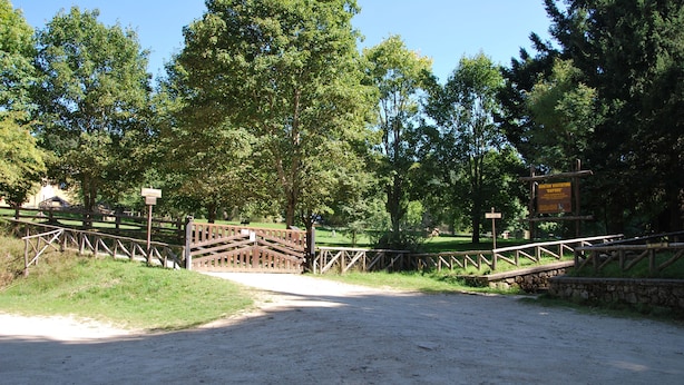 Een zanderig pad dat leidt naar een houten brug over een beekje, omringd door bomen en een stenen muur.