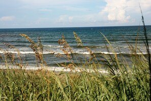 En la playa, camastros y toallas de playa 