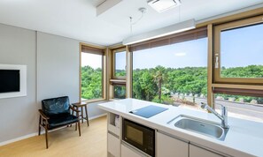 Studio (16 PY) | Private kitchenette | Fridge, microwave, stovetop, electric kettle