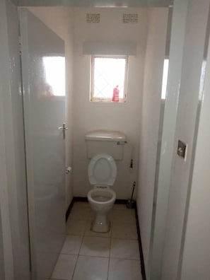 Shower, towels, soap, toilet paper