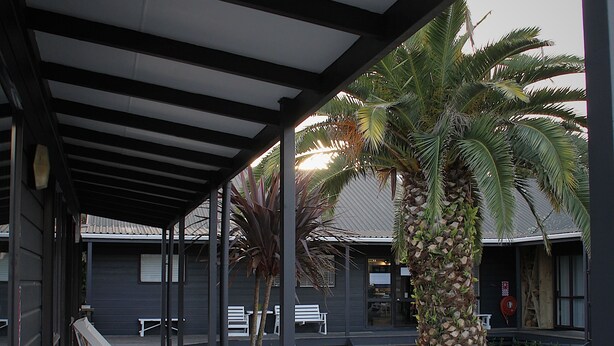 A covered outdoor area with wooden benches, a palm tree, and a building in the background.