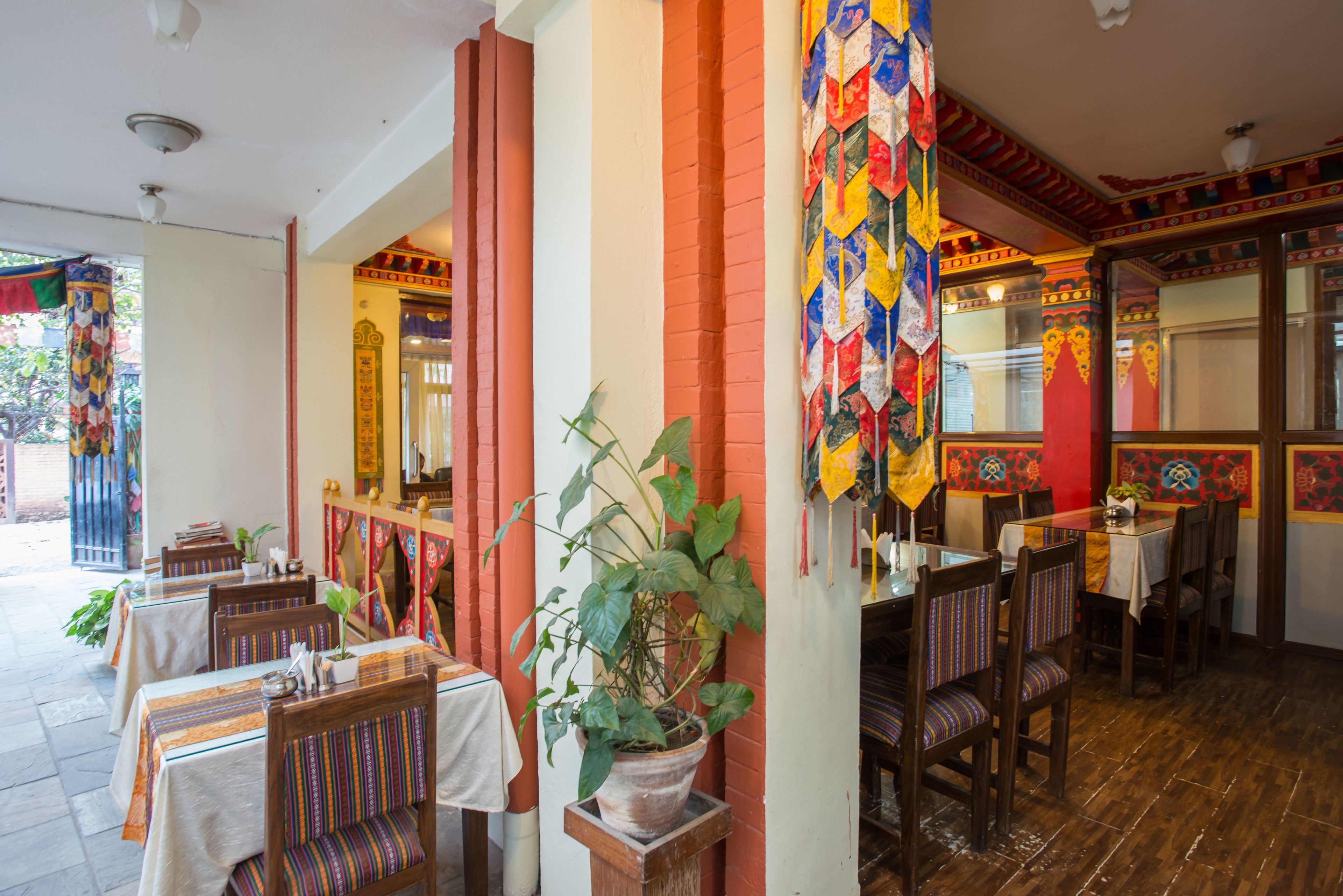 Ein Restaurant mit Holztischen und -stühlen, Zimmerpflanzen und farbenfroher Wandgestaltung.