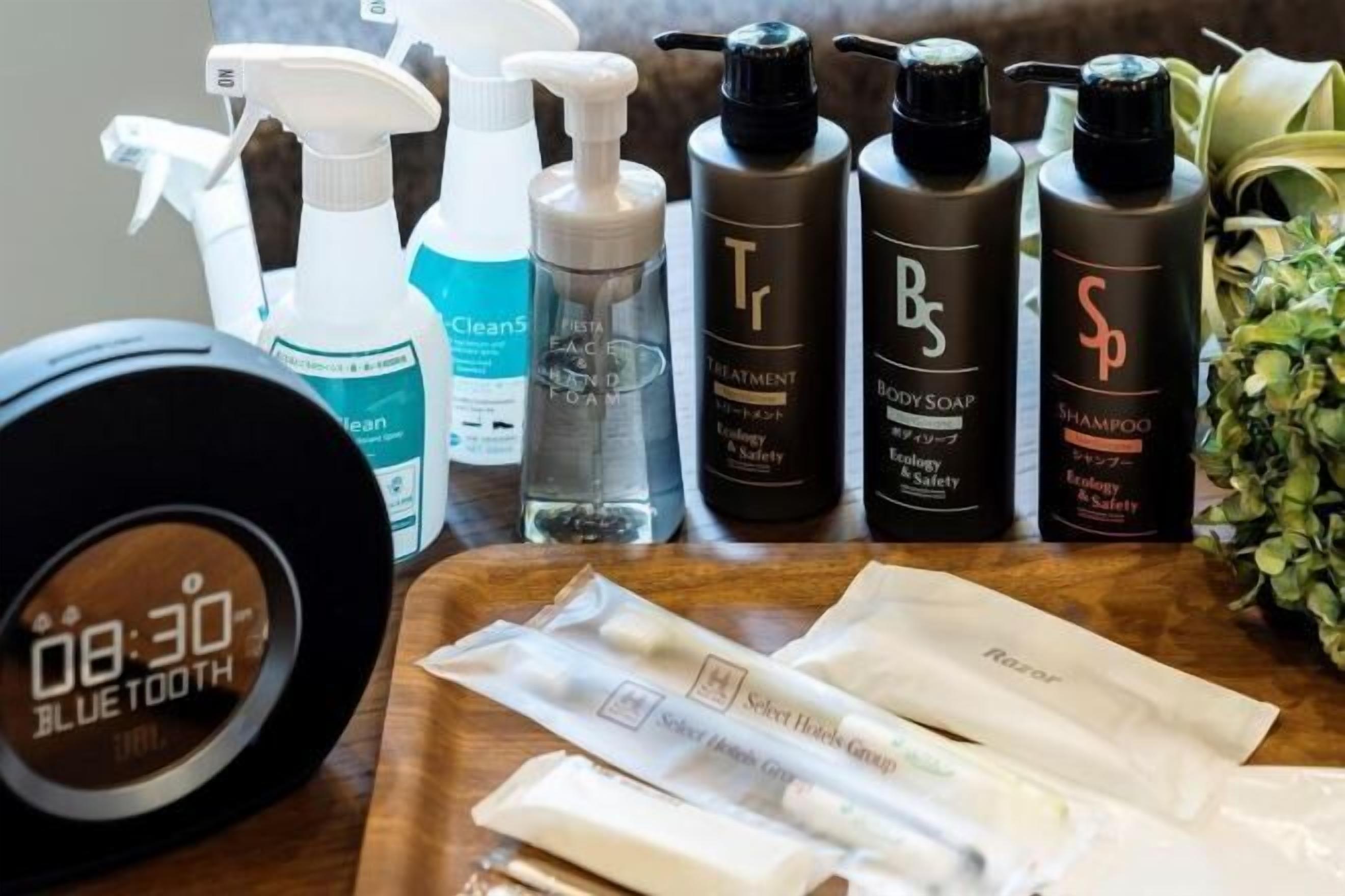 Free toiletries, hair dryer, slippers, bidet