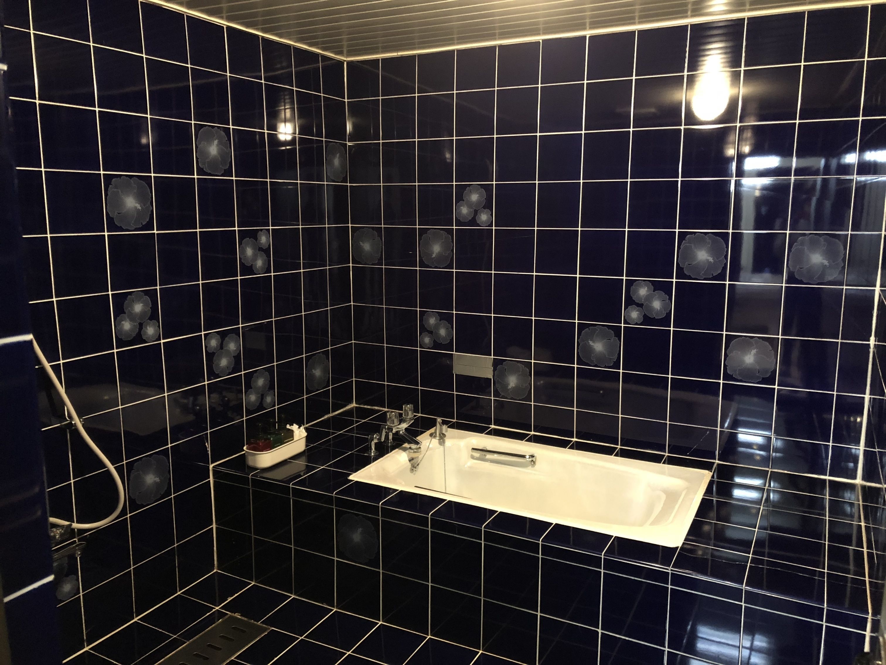 Separate bathtub and shower, free toiletries, hair dryer, slippers