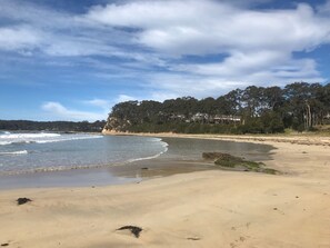 Ein Strand mit sandigem Ufer, sanften Wellen und einer bewaldeten Klippe im Hintergrund.