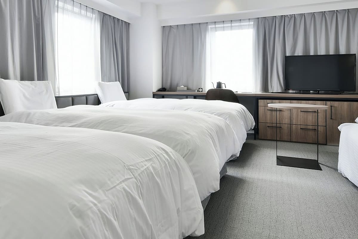 Deluxe Twin with 2 Extra beds