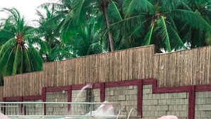 A swimming pool with a wooden fence, palm trees, and a rock formation.