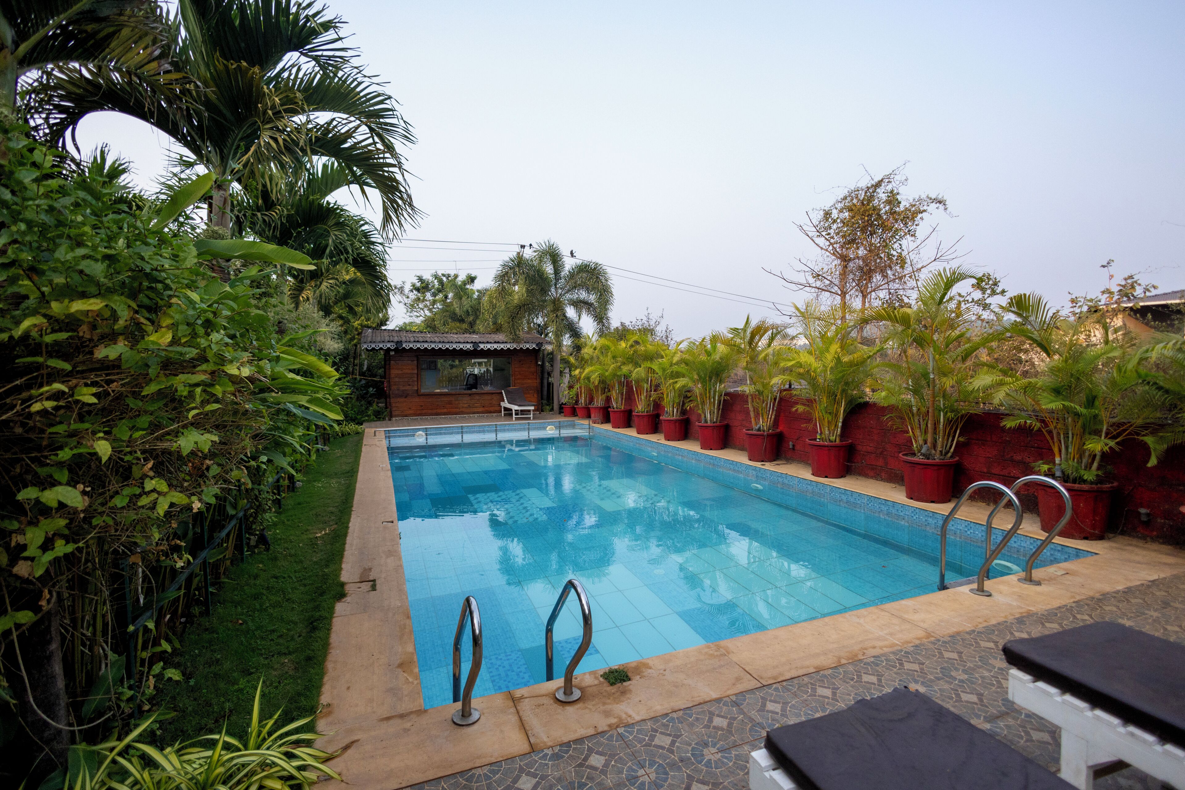 A rectangular swimming pool with metal railings, surrounded by potted plants and a small building with a sloped roof.