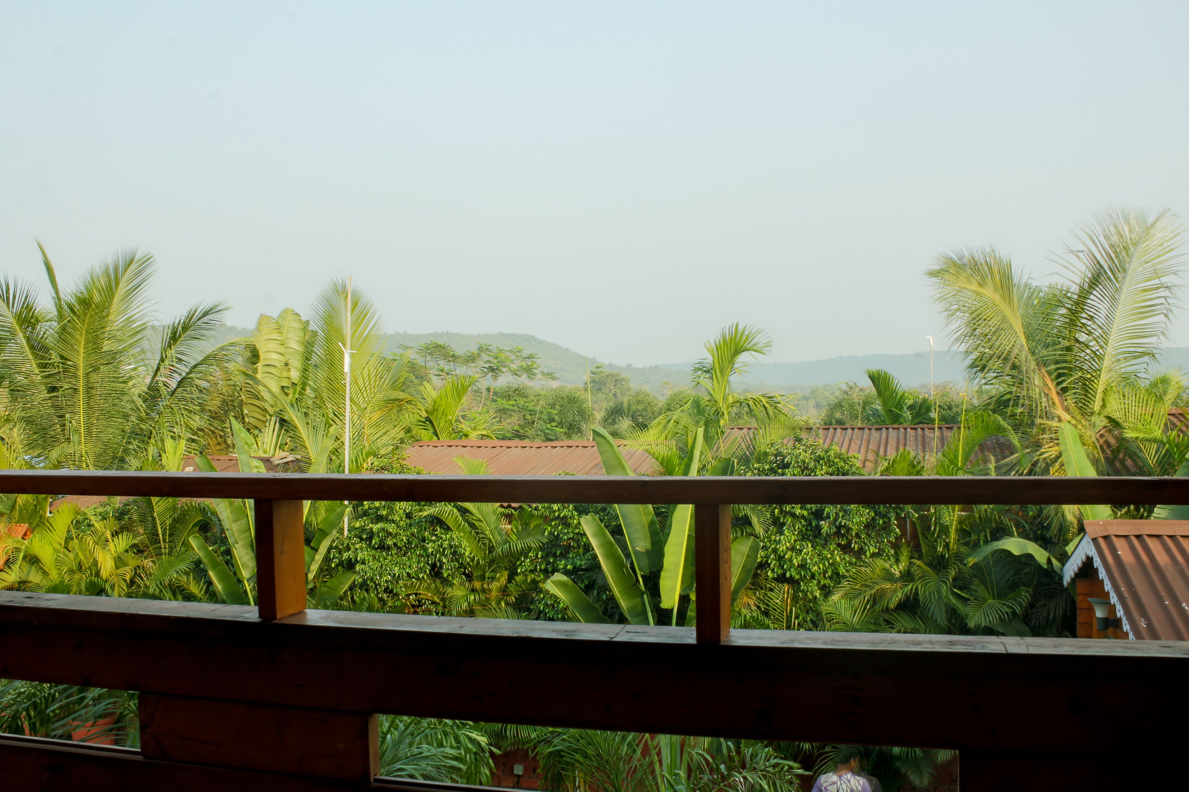 A view from a balcony with a wooden railing, overlooking a lush garden with various tropical plants and a distant mountain range.