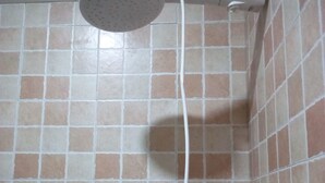 A shower with a handheld showerhead and a white hose. - Prestige Hotel & Club Nyeri (Nyeri)