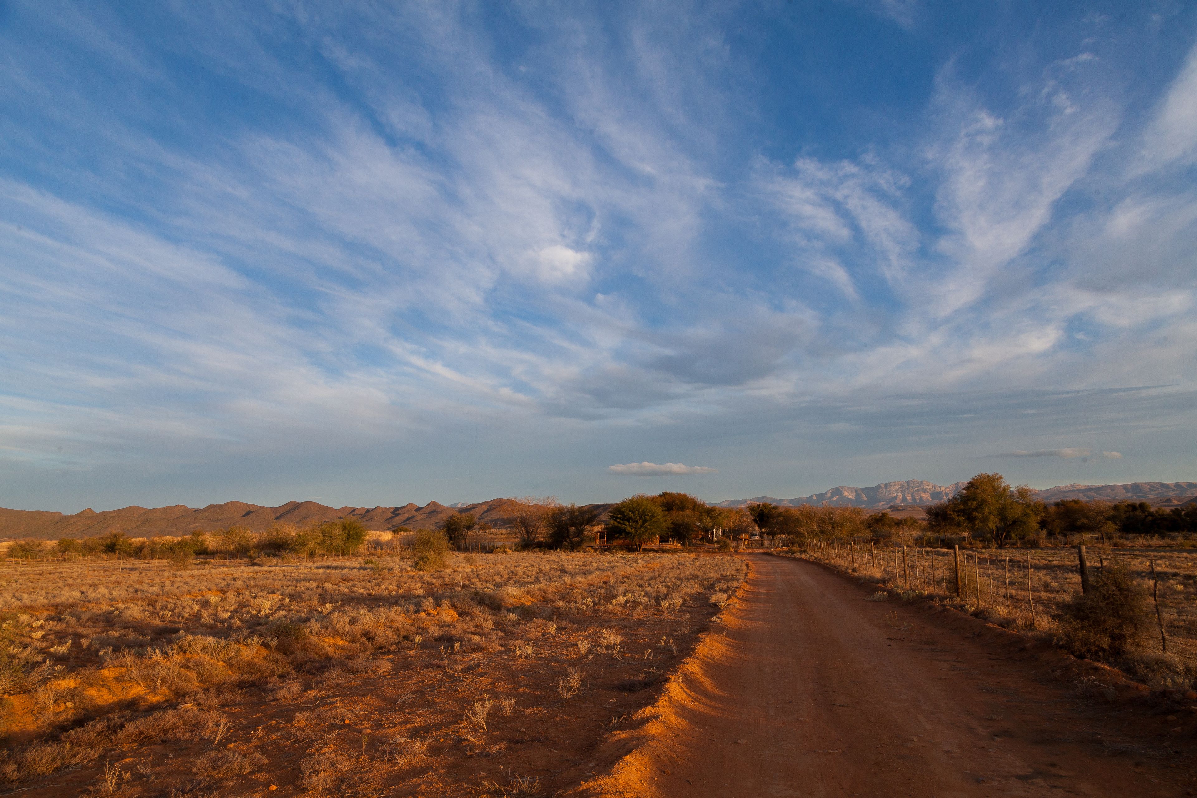 A dirt road in a dry, open landscape with sparse vegetation and distant mountains under a clear sky.