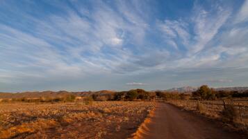 A dirt road in a dry, open landscape with sparse vegetation and distant mountains under a clear sky.